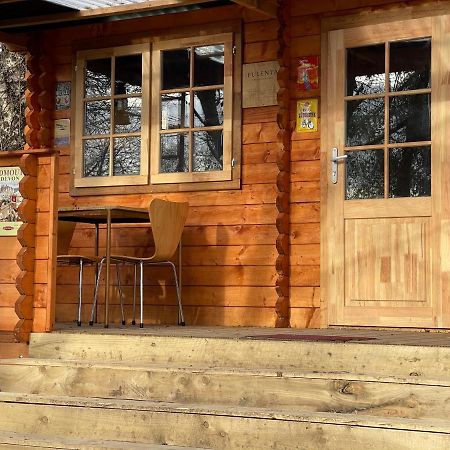 Retro Private Lodge With Hot Tub Nr Dartmoor 牛顿阿伯特 外观 照片