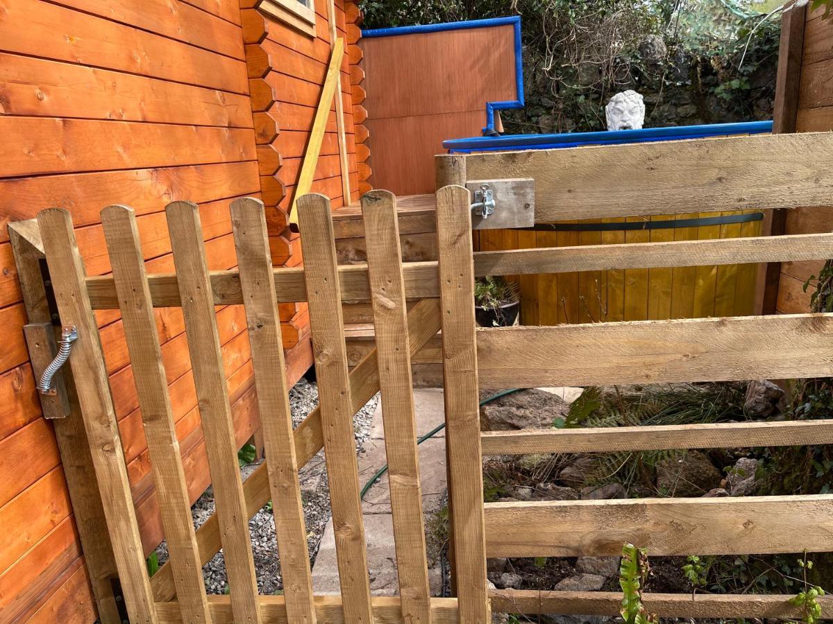 Retro Private Lodge With Hot Tub Nr Dartmoor 牛顿阿伯特 外观 照片