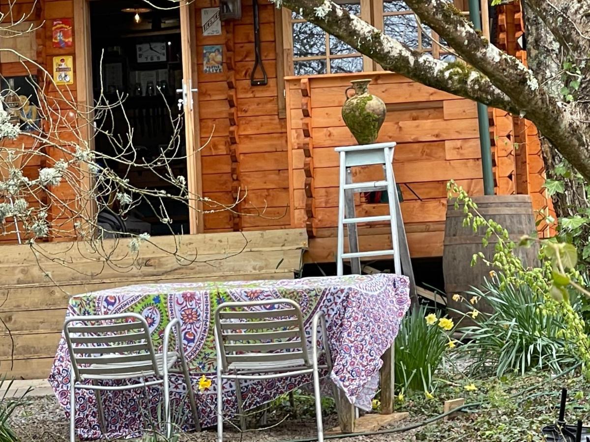 Retro Private Lodge With Hot Tub Nr Dartmoor 牛顿阿伯特 外观 照片