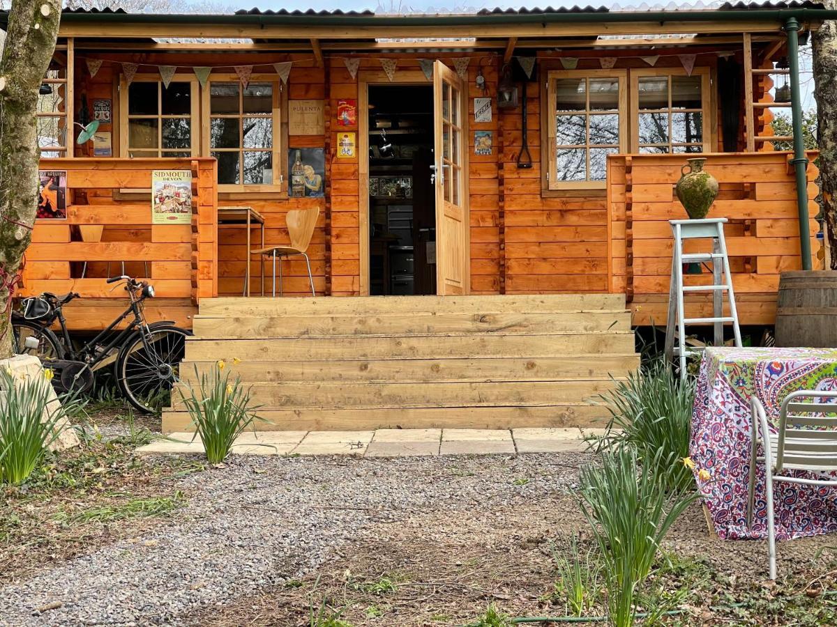 Retro Private Lodge With Hot Tub Nr Dartmoor 牛顿阿伯特 外观 照片