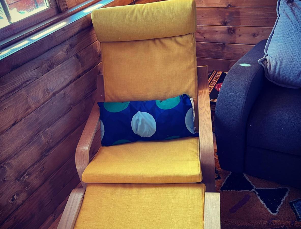 Retro Private Lodge With Hot Tub Nr Dartmoor 牛顿阿伯特 外观 照片