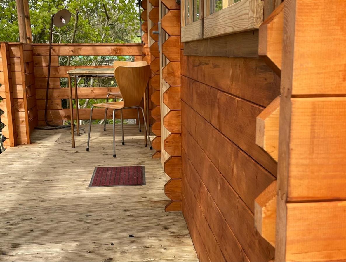 Retro Private Lodge With Hot Tub Nr Dartmoor 牛顿阿伯特 外观 照片