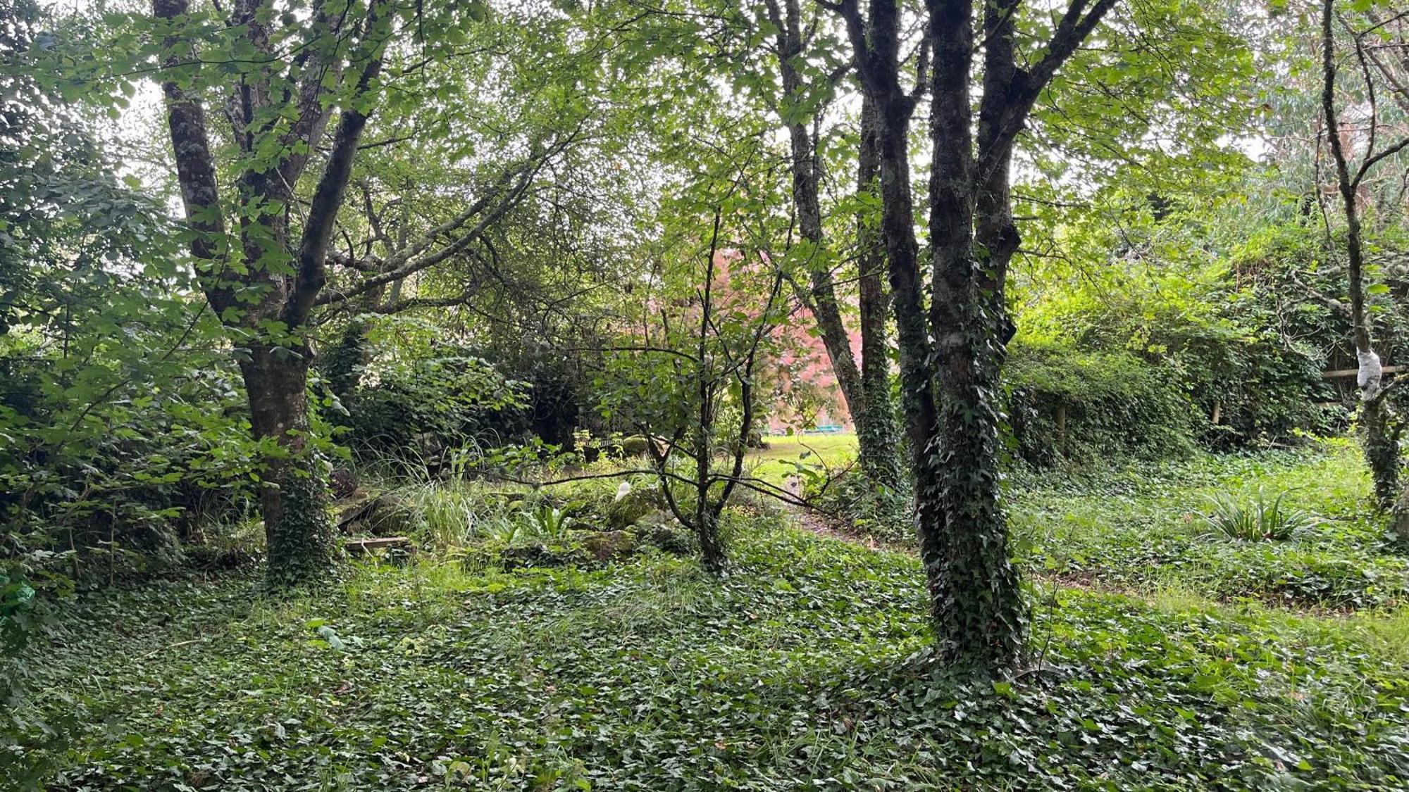 Retro Private Lodge With Hot Tub Nr Dartmoor 牛顿阿伯特 外观 照片